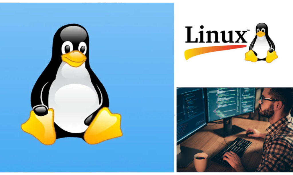 Curso Básico de Linux